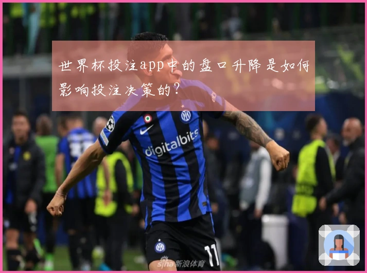 世界杯投注app中的盘口升降是如何影响投注决策的？
