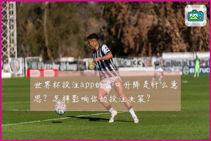 世界杯投注app的盘口升降是什么意思？怎样影响你的投注决策？