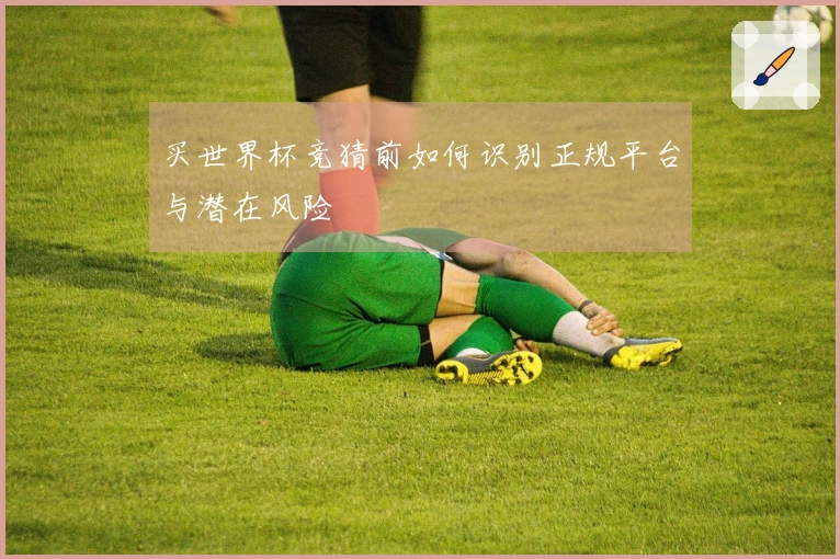 买世界杯竞猜前如何识别正规平台与潜在风险