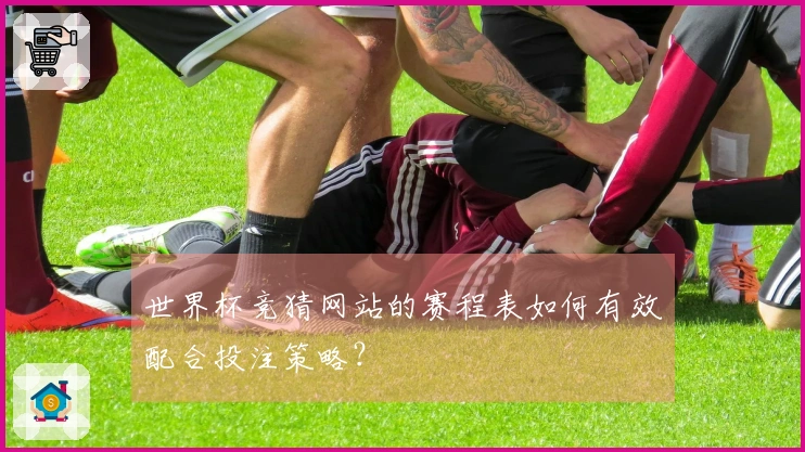 世界杯竞猜网站的赛程表如何有效配合投注策略？