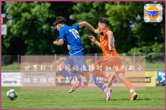 世界杯下注网站选择时如何判断小组出线的可靠性和风险