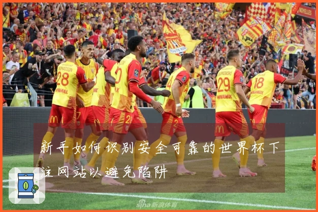 新手如何识别安全可靠的世界杯下注网站以避免陷阱