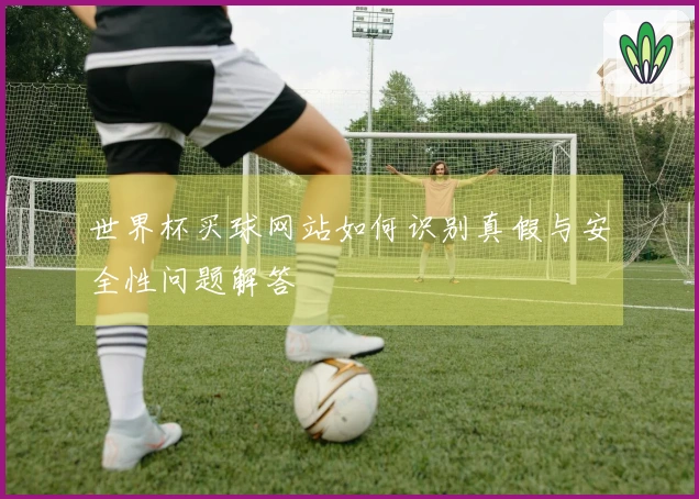 世界杯买球网站如何识别真假与安全性问题解答