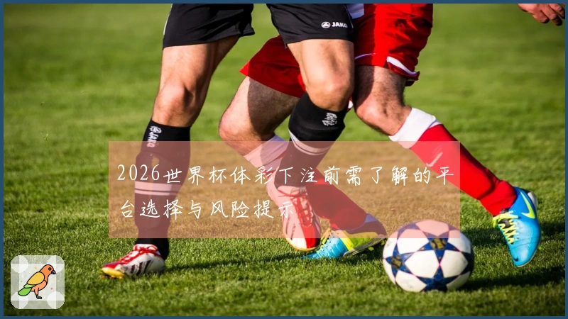 2026世界杯体彩下注前需了解的平台选择与风险提示