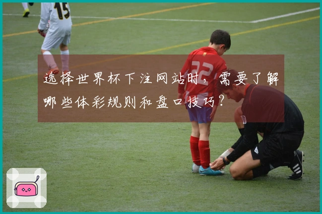 选择世界杯下注网站时，需要了解哪些体彩规则和盘口技巧？