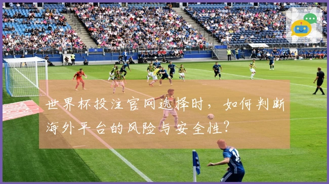 世界杯投注官网选择时，如何判断海外平台的风险与安全性？