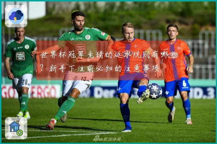 世界杯冠军竞猜的返水规则有哪些？新手下注前必知的注意事项