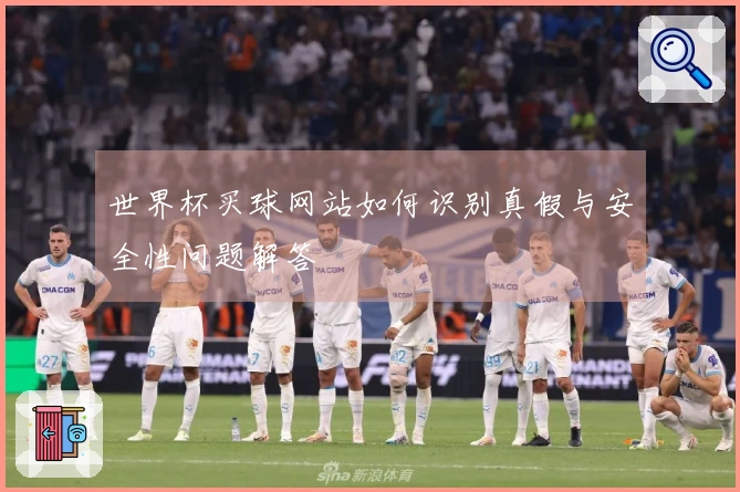 世界杯买球网站如何识别真假与安全性问题解答
