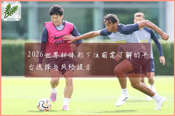 2026世界杯体彩下注前需了解的平台选择与风险提示