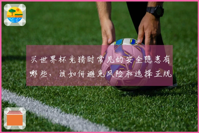 买世界杯竞猜时常见的安全隐患有哪些，该如何避免风险和选择正规平台