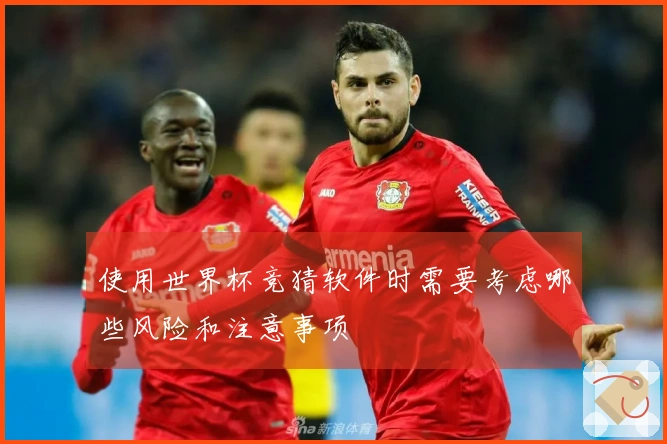 使用世界杯竞猜软件时需要考虑哪些风险和注意事项