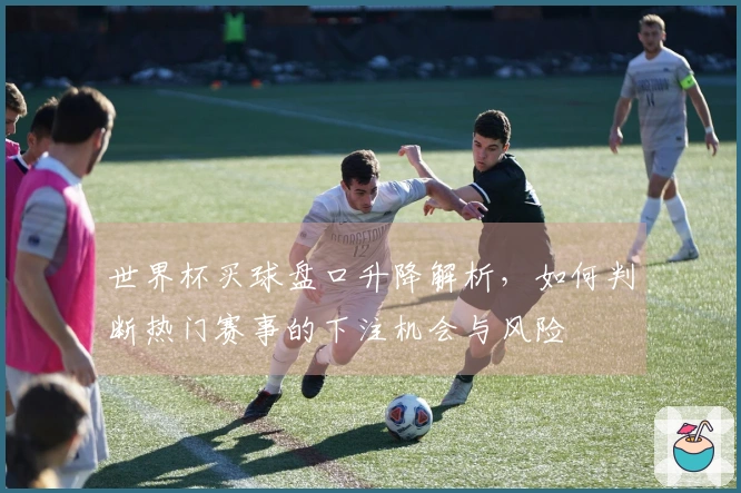 世界杯买球盘口升降解析，如何判断热门赛事的下注机会与风险
