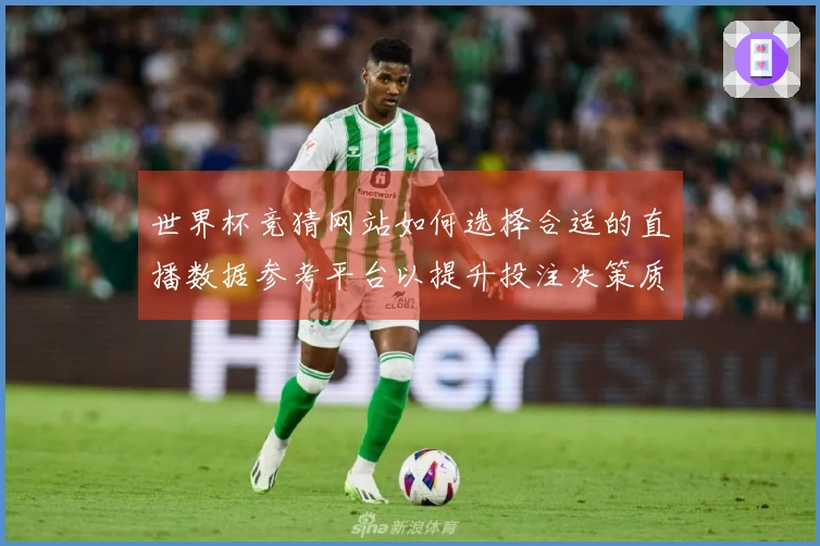 世界杯竞猜网站如何选择合适的直播数据参考平台以提升投注决策质量